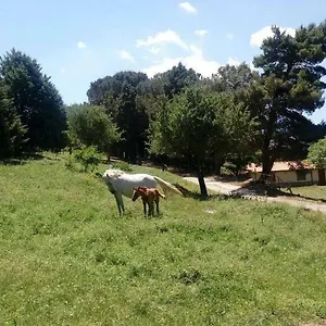  Vakantieboerderij Bosco Pianetti